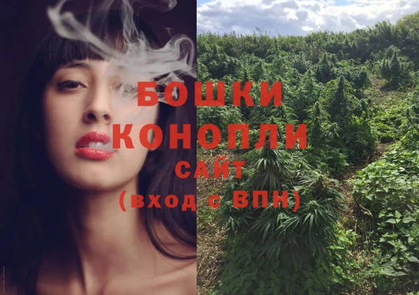 PSILOCYBIN Богородицк