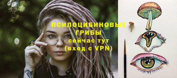 PSILOCYBIN Богородицк